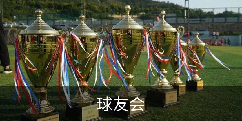 球友会概况